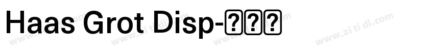 Haas Grot Disp字体转换